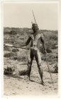 Austrálský bojovník, Západní Austrálie, 1936