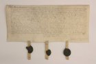 Německá pergamenová listina ze 14. 2. 1592 po sejmutí a konzervaci - Adéla Skoupá, Dis.
